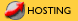 Web Hosting